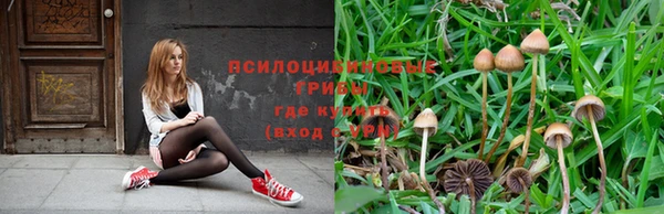 прущая мука Верхний Тагил